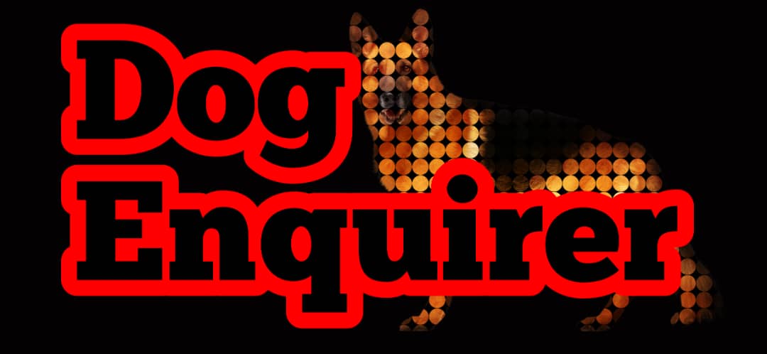 Dog Enquirer